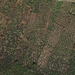 Satellite imagery of survey_point, PT