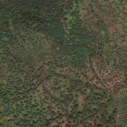 Satellite imagery of survey_point, PT