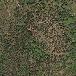Satellite imagery of survey_point, PT