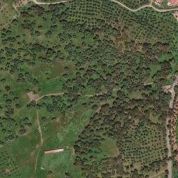 Satellite imagery of survey_point, PT