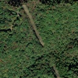 Satellite imagery of Fork Ridge, US