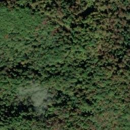 Satellite imagery of Fork Ridge, US