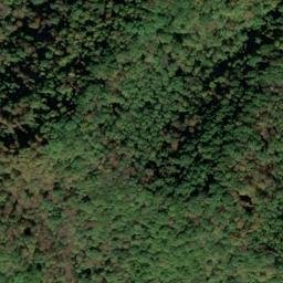 Satellite imagery of Fork Ridge, US