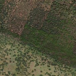 Satellite imagery of survey_point, PT