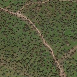 Satellite imagery of survey_point, PT