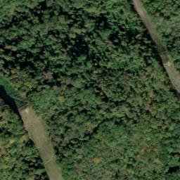 Satellite imagery of Fork Ridge, US