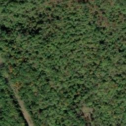 Satellite imagery of Fork Ridge, US