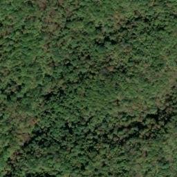Satellite imagery of Fork Ridge, US