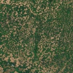 Satellite imagery of survey_point, PT