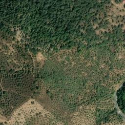 Satellite imagery of survey_point, PT