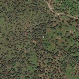 Satellite imagery of survey_point, PT