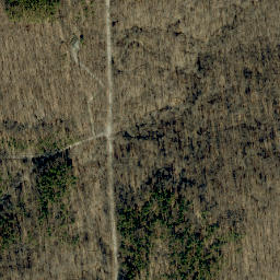 Satellite imagery of Shove Ridge, US