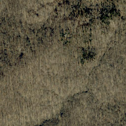 Satellite imagery of Shove Ridge, US
