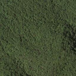 Satellite imagery of Chambers Ridge, US