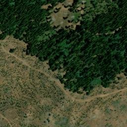 Satellite imagery of Woods Ridge, US