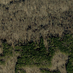 Satellite imagery of Rickert Cliffs, US