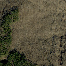 Satellite imagery of Shove Ridge, US