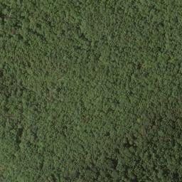 Satellite imagery of Chambers Ridge, US
