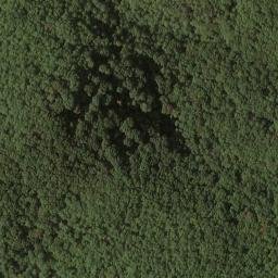 Satellite imagery of Chambers Ridge, US