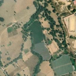 Satellite imagery of survey_point, PT