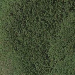 Satellite imagery of Chambers Ridge, US