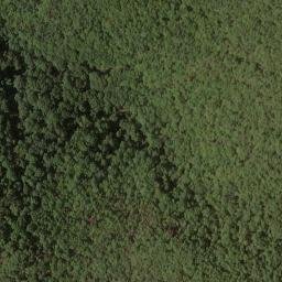 Satellite imagery of Hutcheson Ridge, US