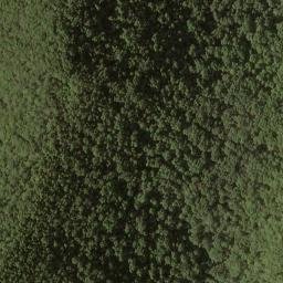 Satellite imagery of Hutcheson Ridge, US