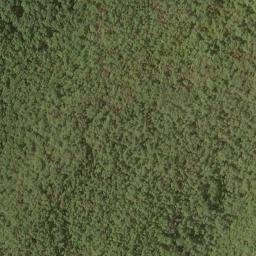 Satellite imagery of Hutcheson Ridge, US