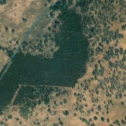 Satellite imagery of Gopher Ridge, US