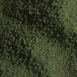 Satellite imagery of Hutcheson Ridge, US