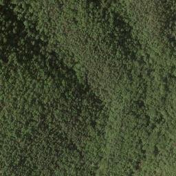 Satellite imagery of Hutcheson Ridge, US