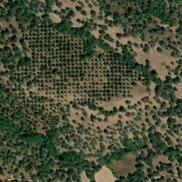 Satellite imagery of survey_point, PT