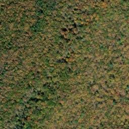 Satellite imagery of Mill Mountain, US