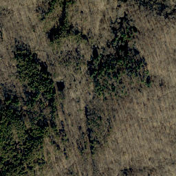 Satellite imagery of Coontail Ridge, US