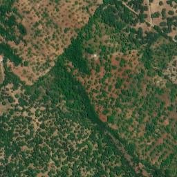 Satellite imagery of survey_point, PT