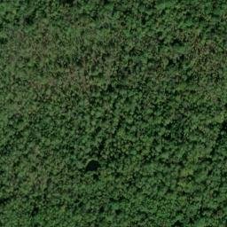 Satellite imagery of Cedar Point, US