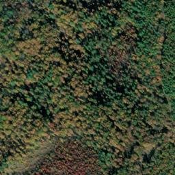Satellite imagery of Mill Mountain, US