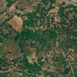 Satellite imagery of survey_point, PT