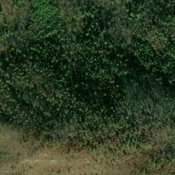 Satellite imagery of Groahs Ridge, US