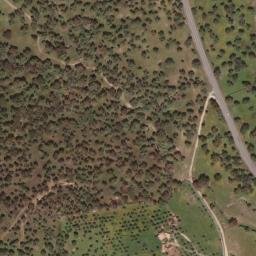 Satellite imagery of survey_point, PT
