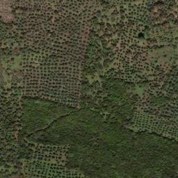 Satellite imagery of survey_point, PT