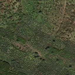 Satellite imagery of survey_point, PT