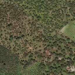 Satellite imagery of survey_point, PT