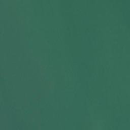 Satellite imagery of California Point, US