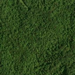 Satellite imagery of Love Ridge, US