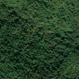 Satellite imagery of White Rock Quarry, US