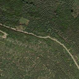 Satellite imagery of survey_point, PT