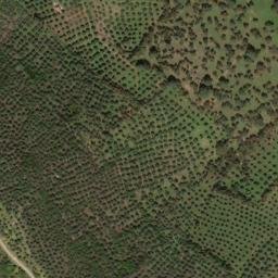 Satellite imagery of survey_point, PT