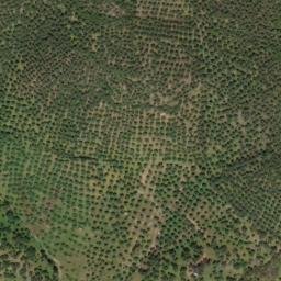 Satellite imagery of survey_point, PT