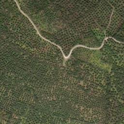 Satellite imagery of survey_point, PT
